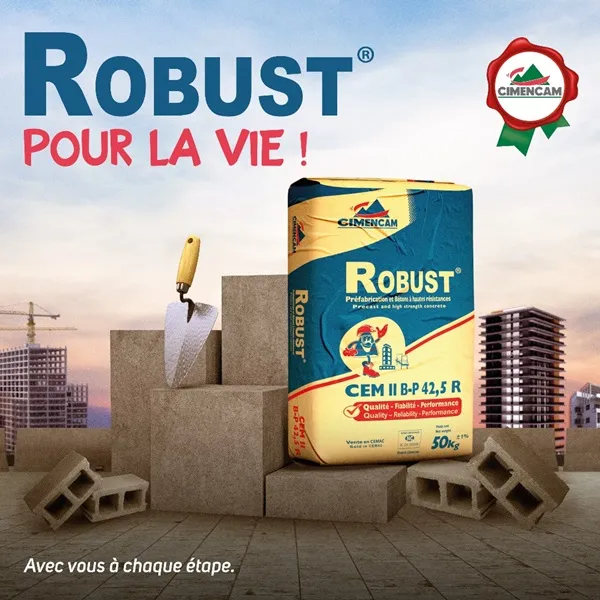 publication-robust-1.jpg